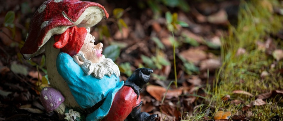 What are Some Fun Facts About Gnomes?