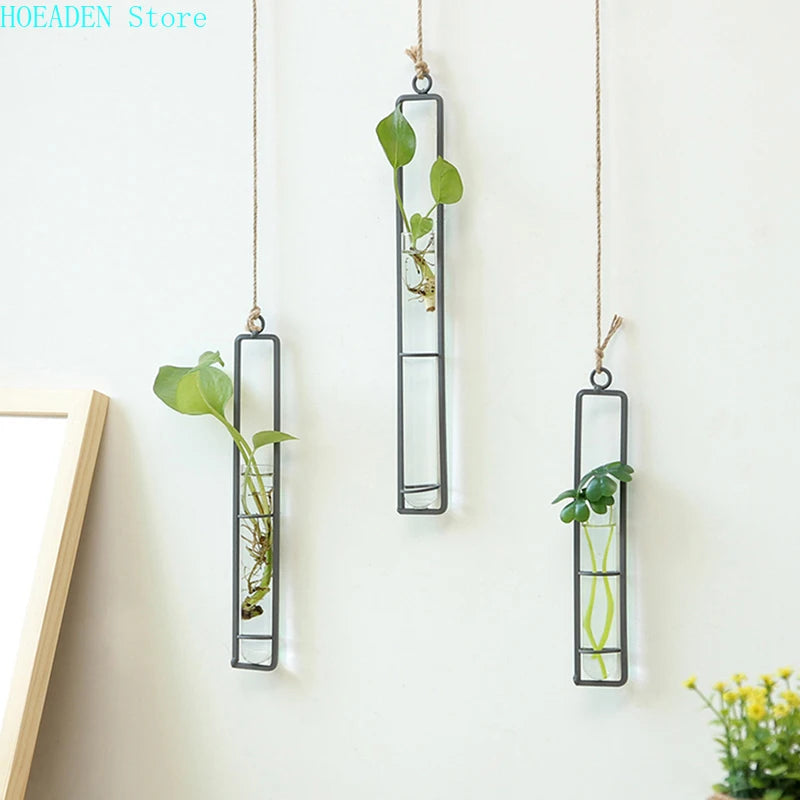 Wall Hanging Flower Vase Iron Glass Transparent for Hydroponics Plant Container